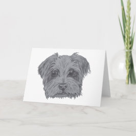 Gullig hund för Yorkshire Terrier Kort