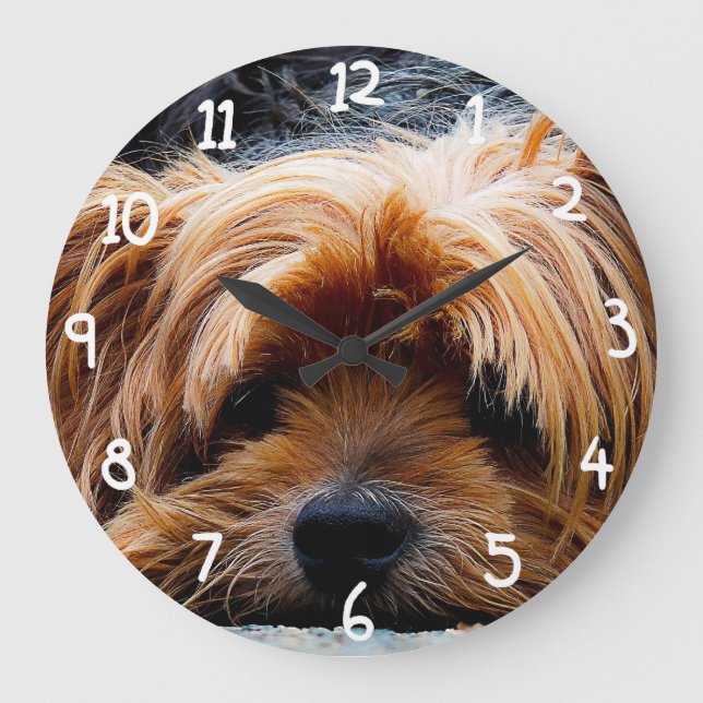Gullig hund för Yorkshire Terrier Stor Klocka (Framsida)