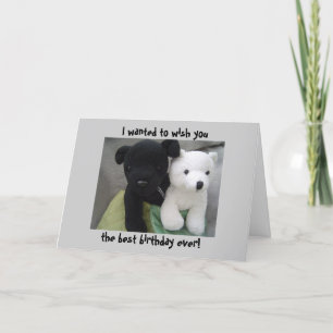 Gullig hund- och björnfödelsedag kort