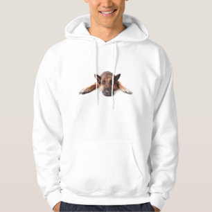 Gullig hund sweatshirt med luva