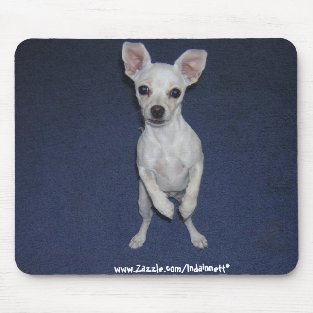 Gullig hund Up-Mousepad. Musmatta (Framsidan)