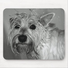 Gullig hund - Westie (den västra höglands- Musmatta