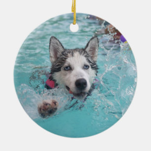 Gullig hundsimning i bassäng julgransprydnad keramik