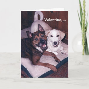 Gullig hundvalentin för anpassade helgkort