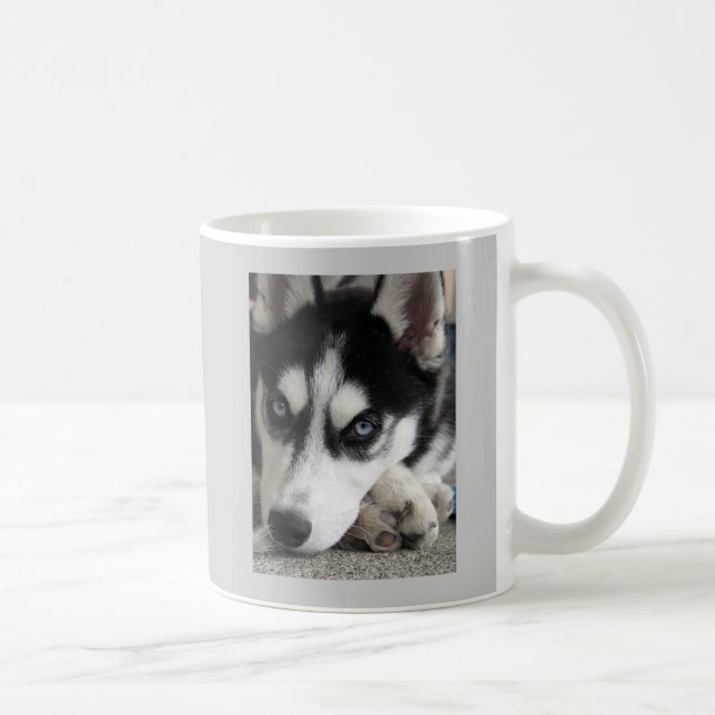 Gullig husky mugg (Höger)