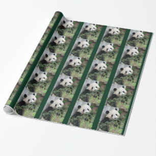 Gullig jätte- Panda som slår in pappersgrönt Presentpapper