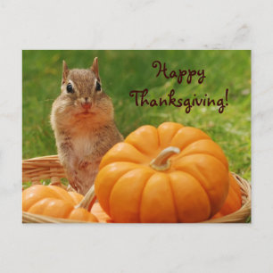 Gullig jordekorrevykort för happy thanksgiving helg vykort