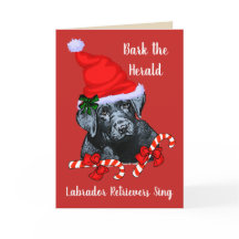 Gullig jul för Labrador Retriever