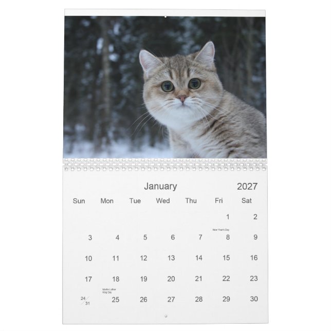 Gullig kalender för kattungar 2012 (Jan 2027)