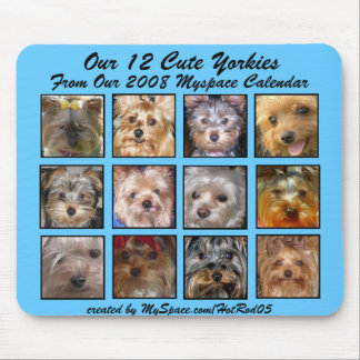 GULLIG KALENDER för YORKIES 2008 (på en mousepad) Musmatta