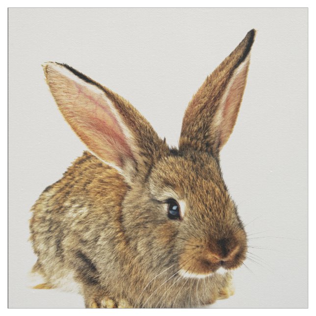 Gullig kanin tyg (Provkarta)