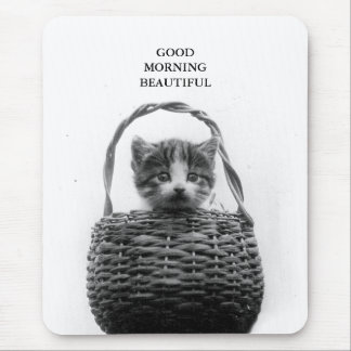 Gullig katt i ett basketvintagefoto musmatta