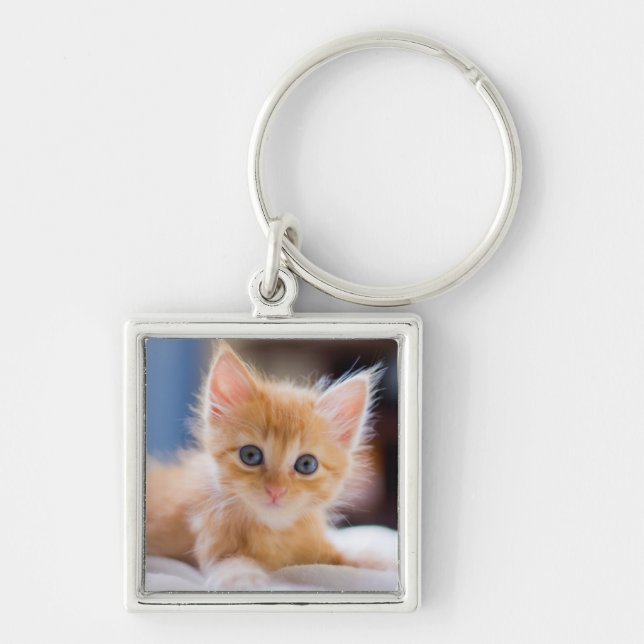Gullig katt med blåttögon fyrkantig silverfärgad nyckelring (Framsidan)