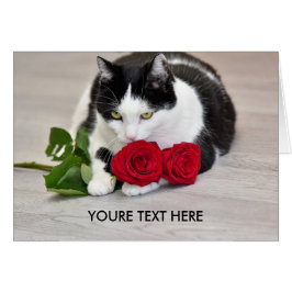 Gullig katt med röd ros hälsningskort