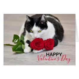 Gullig katt med röd ros hälsningskort