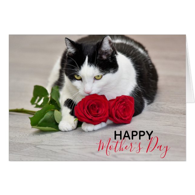 Gullig katt med röd ros hälsningskort (Framsidan Horizontal)