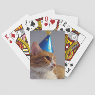 Gullig katt som ha på sig blåttpartyhatten som kortlek