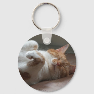 Gullig katt som sovar Keychain Nyckelring
