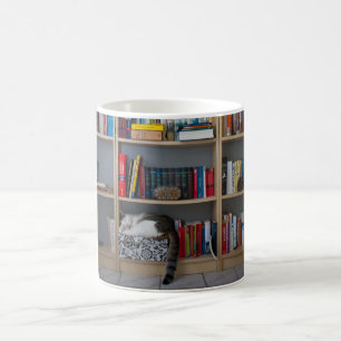 Gullig katt som sovar på bokhyllabibliotekbokar kaffemugg