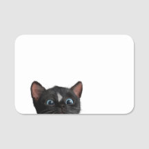 Gullig kattkuriositet