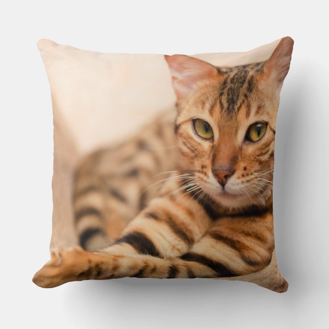 Gullig kattpolyesterdekorativ kudde 20" x 20", (Framsida)