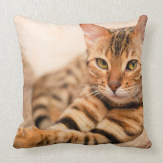Gullig kattpolyesterdekorativ kudde 20" x 20",
