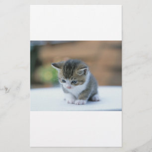 Gullig kattunge brevpapper