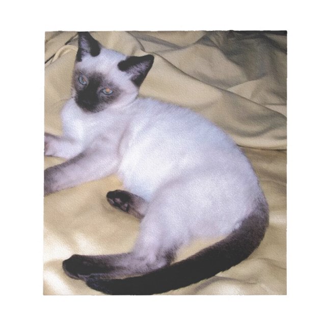 Gullig kattunge för Siamese för kattsandsten djurt Anteckningsblock (Framsida)
