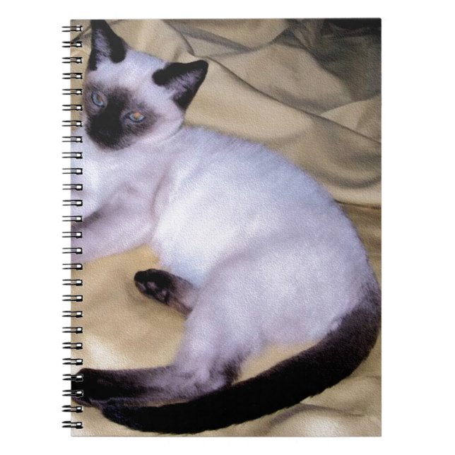 Gullig kattunge för Siamese för kattsandsten djurt Anteckningsbok (Framsidan)