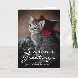 Gullig kattunge helgkort
