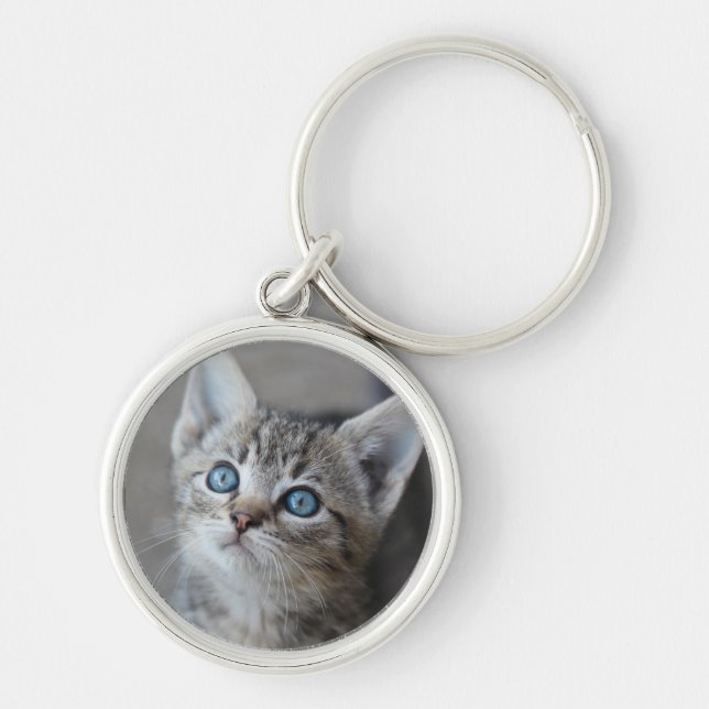 Gullig kattunge i trädgården rund silverfärgad nyckelring (Framsidan)