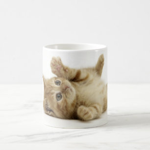 Gullig kattunge kaffemugg