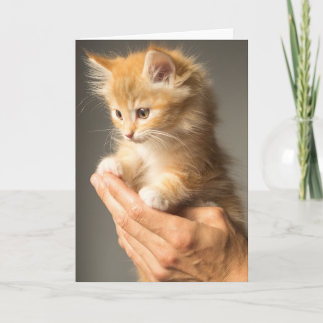 Gullig kattunge på händer kort (Framsida)
