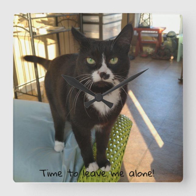 Gullig kattunge tar tid på fyrkantig klocka (Framsida)