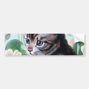 Gullig kattunge - vintagekattkonst bildekal