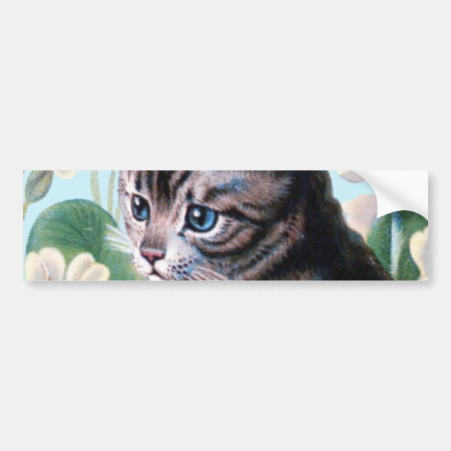 Gullig kattunge - vintagekattkonst bildekal (Framsidan)