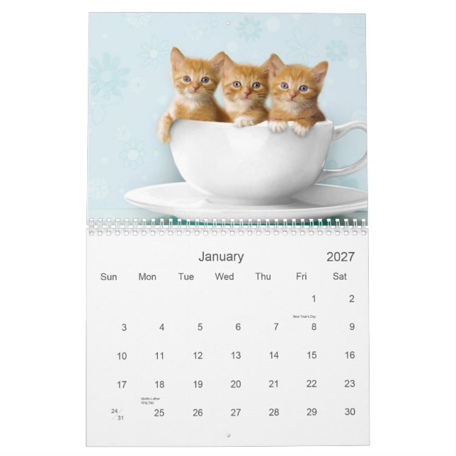 Gullig kattungekalender kalender (Jan 2027)