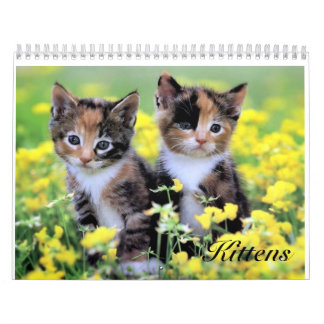 Gullig kattungekalender kalender