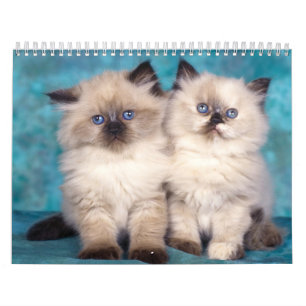Gullig kattungekalender kalender