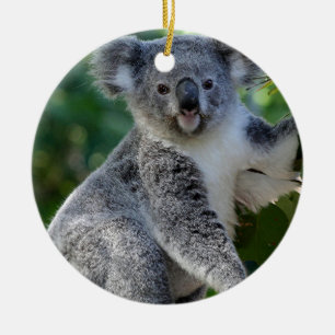 Gullig kelig australiensisk koala julgransprydnad keramik