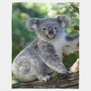 Gullig kelig australiensisk koala (lodrät) i fleecefilt