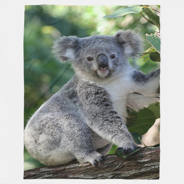 Gullig kelig australiensisk koala (lodrät) i fleecefilt (Framsidan)