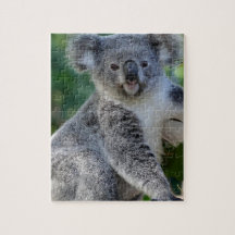 Gullig kelig australiensisk koala