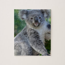 Gullig kelig australiensisk koala pussel