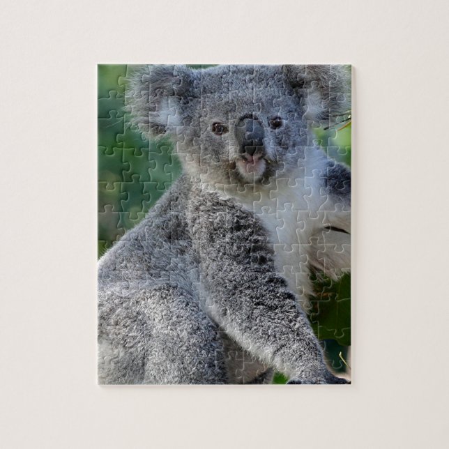 Gullig kelig australiensisk koala pussel (Vertikal)