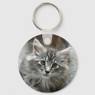 Gullig keychain för Maine Coonkattunge Nyckelring