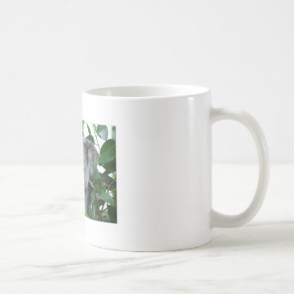 Gullig Koala Kaffemugg