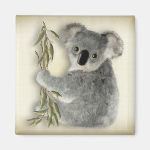 Gullig Koala Magnet