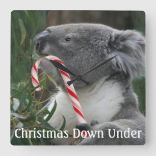Gullig Koala som äter candy cane Fyrkantig Klocka