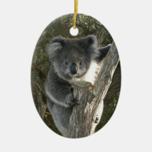 Gullig Koala som klättrar ett träd Julgransprydnad Keramik